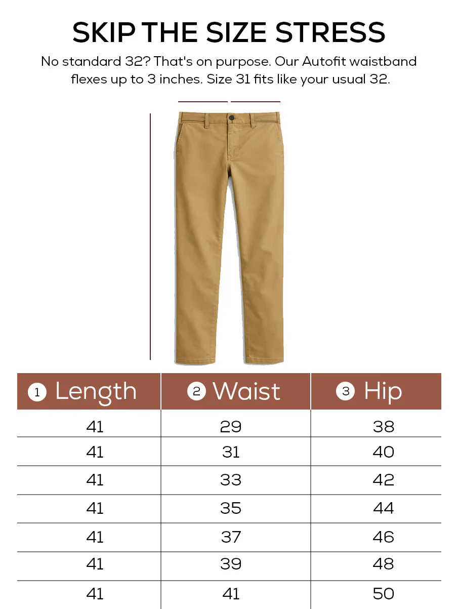 The Regular Fit Daylong Chino - Old Camel - Image 5