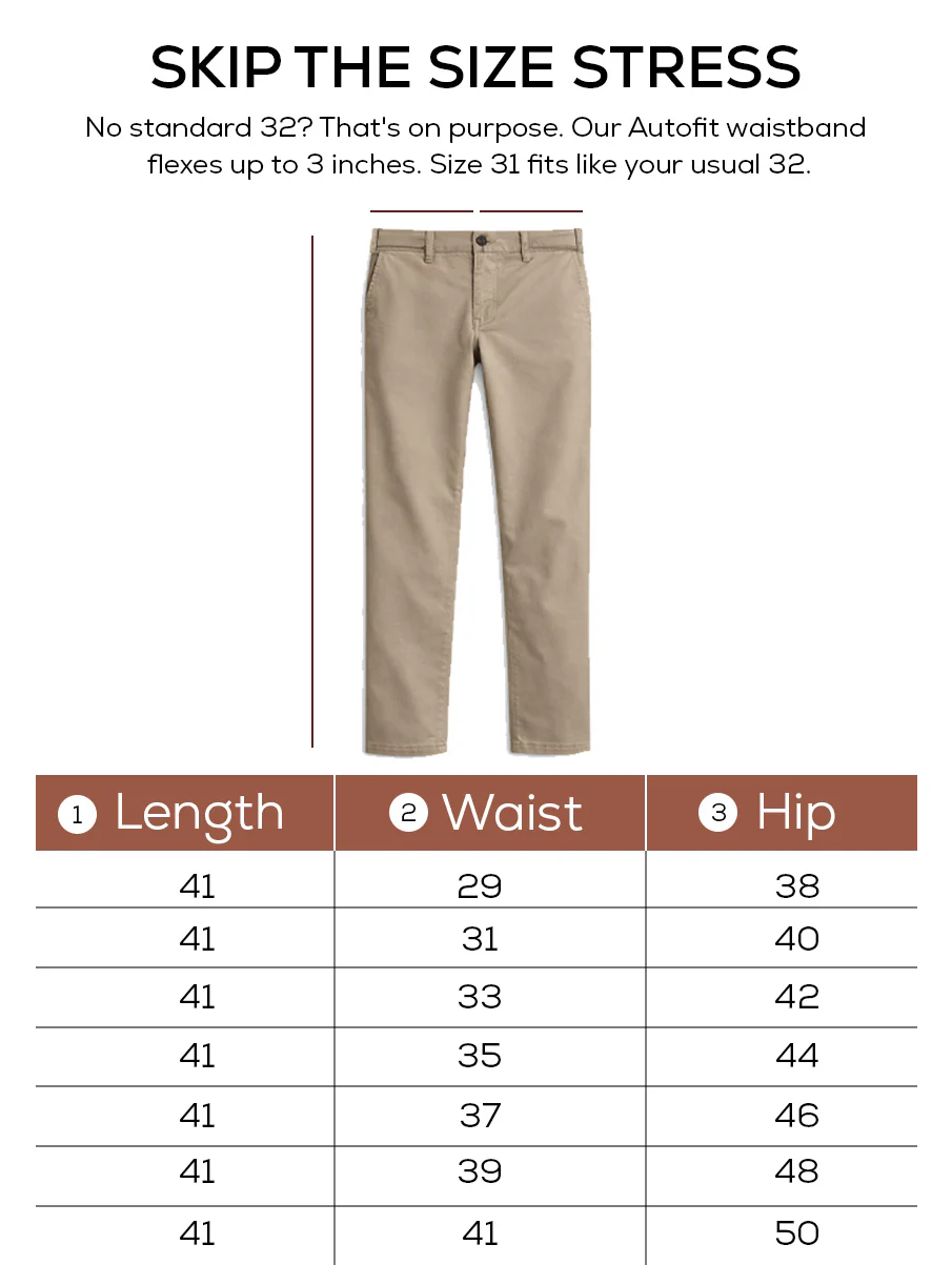 The Regular Fit Daylong Chino - Square Potato - Image 5