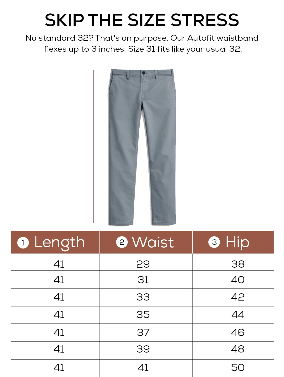 The Regular Fit Daylong Chino - Stone Mouse - Image 5