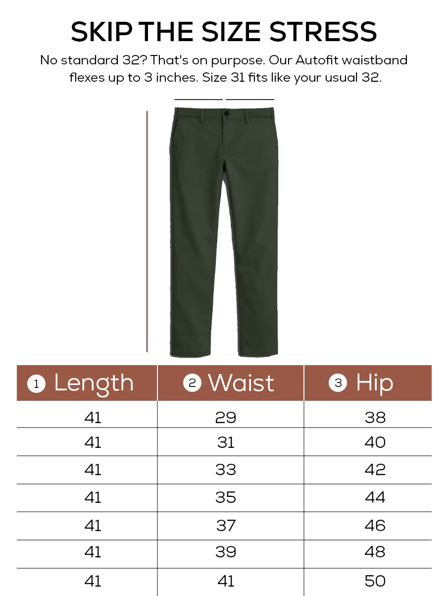 The Regular Fit Daylong Chino - Stained Olive - Image 5
